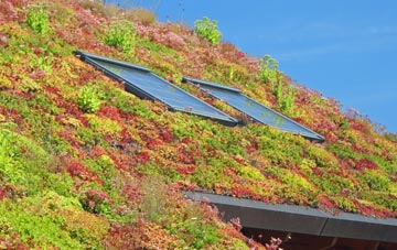 Penbontrhydyfothau living roof systems