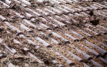 Penbontrhydyfothau roof cleaning companies