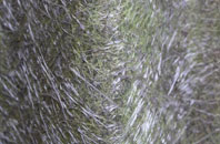 Penbontrhydyfothau fibreglass roof work